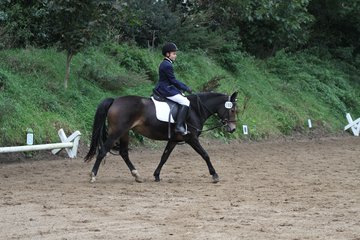 Bild 1110 - WBO-Turnier am 18.9.11